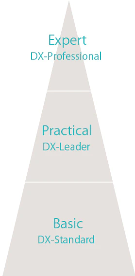 Overview of Digital Transformation Training Programs