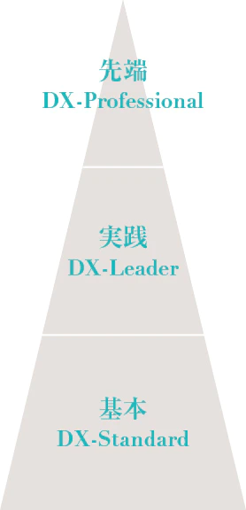 下から基本のDX-Standard、実践のDX-Leader、先端のDX-Professionalの順番に並んでいます。