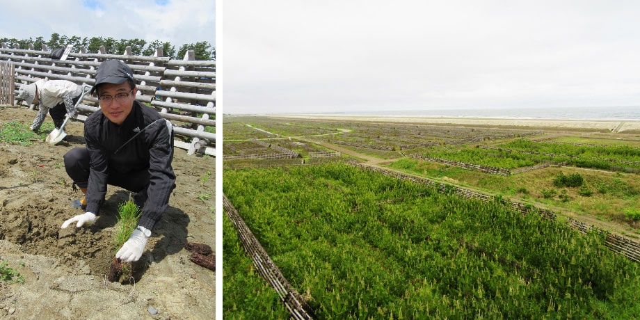 Joined the Tree Planting Ceremony held on the Tsunami Disaster-hit Natori Coastal Area