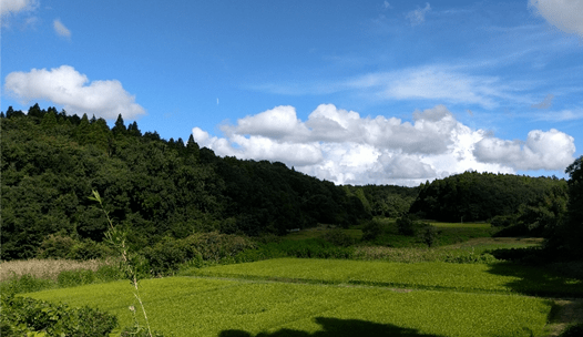 Tsubaki TC Satoyama Bank: Japan’s first attempt at biodiversity banking. The project is aiming to conserve 43 hectares of land in Chiba prefecture, as well as revitalize the local economy.