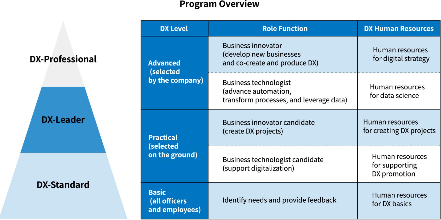 DX Human Resource Program: Defines three levels, role functions, and goals (DX human resources) to aim for